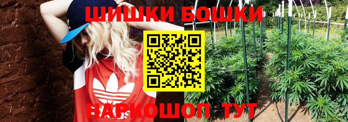 Конопля план  Марихуана сатива  Благодарный  Вход с VPN 